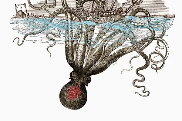 Kraken13at