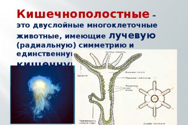 Кракен даркнет магазин