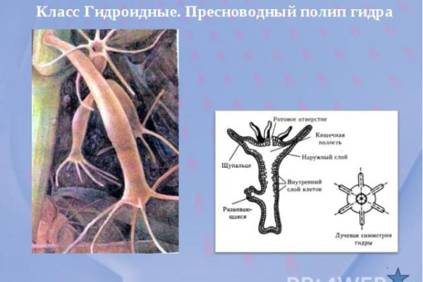 Кракен ссылка оригинал