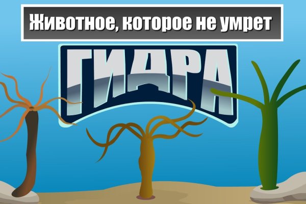 Кракен сайт krakens13 at
